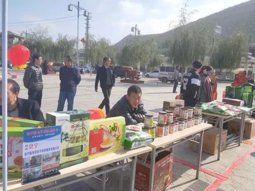 舌尖上的綠色 高原遺珍，狀元故里——會寧小雜糧狀元食品暨民俗文化產品展銷會與電子商務推介會紀實