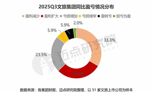 2025年第三季度文旅集團(tuán)國內(nèi)旅游業(yè)務(wù)財(cái)務(wù)分析報(bào)告